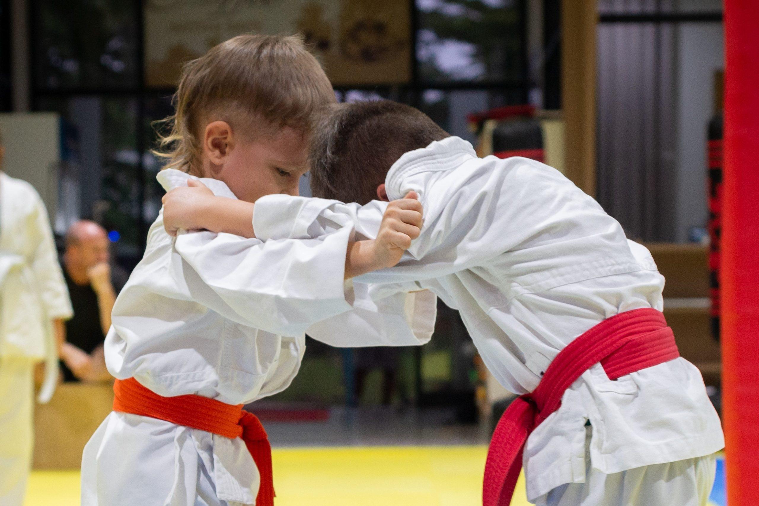 Judo + Sambo for children (4-10 years old)